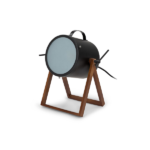 In dictum sapien ut elit tincidunt